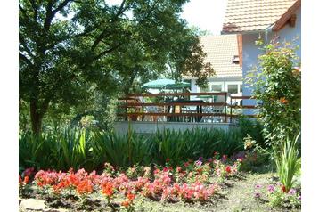 Унгария Privát Pálköve, Екстериор